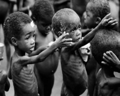 Help alleviate their hunger 
